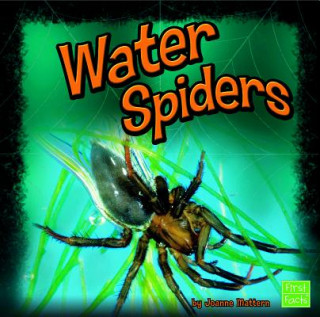 Könyv Water Spiders Joanne Mattern