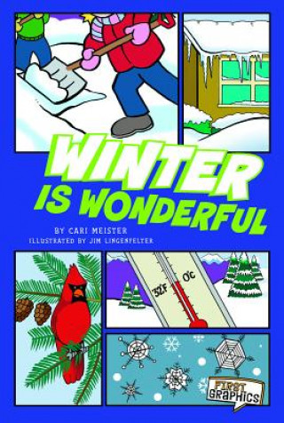Kniha Winter Is Wonderful Cari Meister