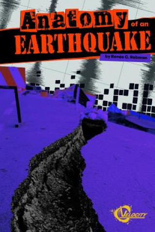 Kniha Anatomy of an Earthquake Renee C. Rebman