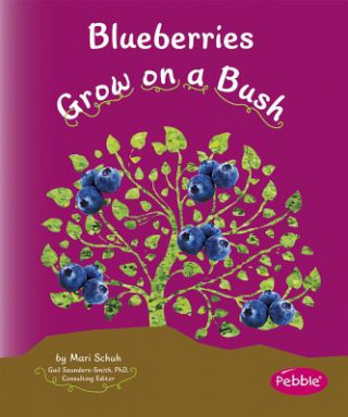 Carte Blueberries Grow on a Bush Mari C. Schuh