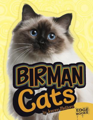 Knjiga Birman Cats Joanne Mattern