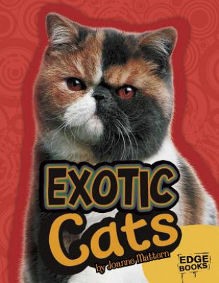 Buch Exotic Cats Joanne Mattern