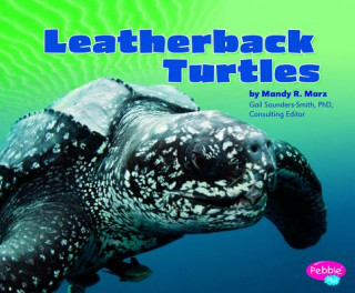 Knjiga Leatherback Turtles Mandy R. Marx