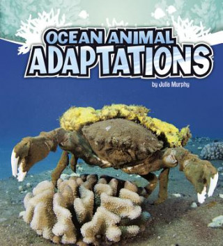 Knjiga Ocean Animal Adaptations Julie Murphy