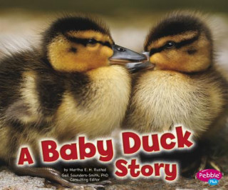 Buch A Baby Duck Story Martha E. H. Rustad