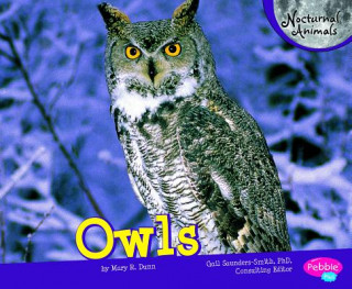 Buch Owls Mary R. Dunn