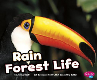 Könyv Rain Forest Life Janine Scott