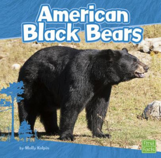 Kniha American Black Bears Molly Kolpin