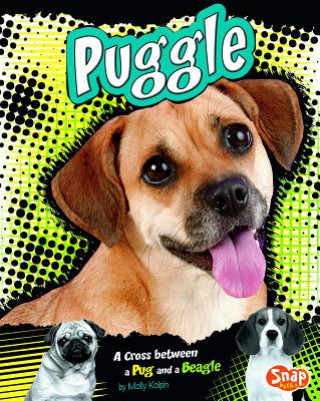 Könyv Puggle: A Cross Between a Pug and a Beagle Molly Kolpin
