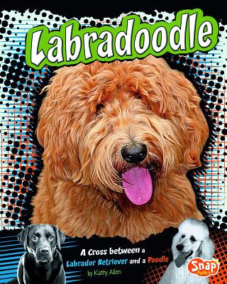 Könyv Labradoodle: A Cross Between a Labrador Retriever and a Poodle Kathy Allen