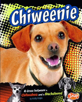 Livre Chiweenie: A Cross Between a Chihuahua and a Dachshund Molly Kolpin