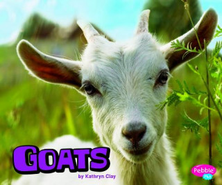 Knjiga Goats Kathryn Clay