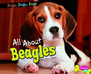 Kniha All about Beagles Erika L. Shores