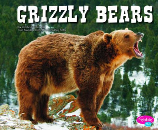 Kniha Grizzly Bears Molly Kolpin