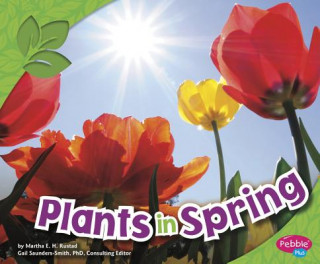 Carte Plants in Spring Martha E. H. Rustad