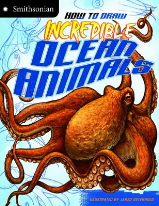 Könyv How to Draw Incredible Ocean Animals Kristen McCurry