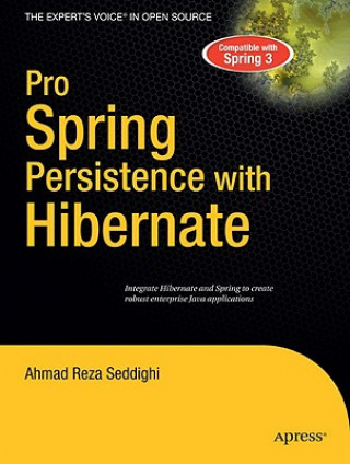 Kniha Pro Spring Persistence with Hibernate Ahmad Seddighi
