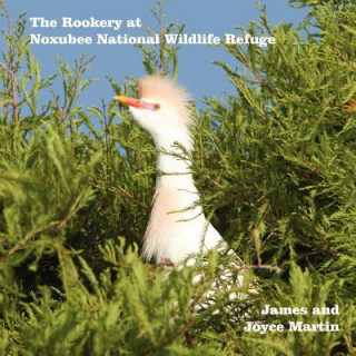 Kniha Rookery at Noxubee Wildlife Refuge Joyce Martin