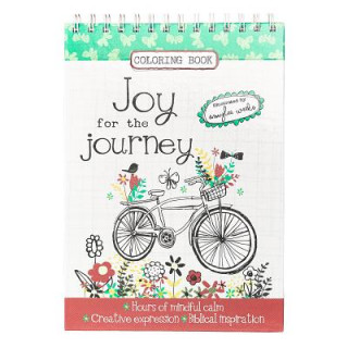 Kniha Joy for the Journey Amylee Weeks