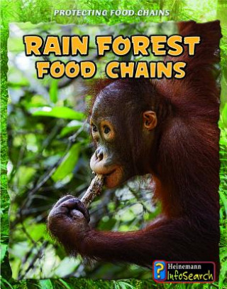 Carte Rain Forest Food Chains Heidi Moore