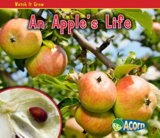 Libro An Apple's Life Nancy Dickmann