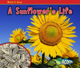 Книга A Sunflower's Life Nancy Dickmann