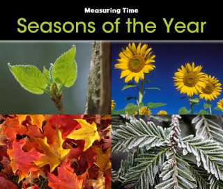 Kniha Seasons of the Year Tracey Steffora