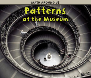 Knjiga Patterns at the Museum Tracey Steffora