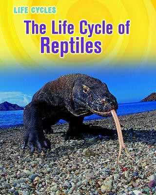 Kniha The Life Cycle of Reptiles Darlene R. Stille