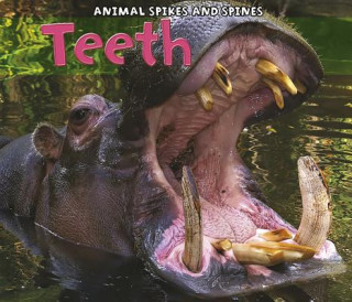 Buch Teeth Rebecca Rissman