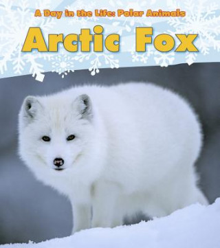 Könyv Arctic Fox Katie Marsico