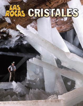Kniha Cristales = Cristals Richard Spilsbury
