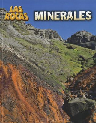 Kniha Minerales = Minerals Richard Spilsbury