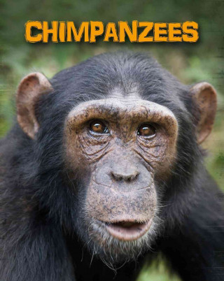 Książka Chimpanzees Heidi Moore