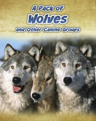 Kniha A Pack of Wolves: And Other Canine Groups Anna Claybourne