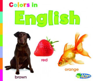 Livre Colors in English Daniel Nunn