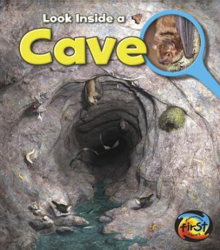 Knjiga Cave Richard Spilsbury