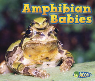 Könyv Amphibian Babies Catherine Veitch