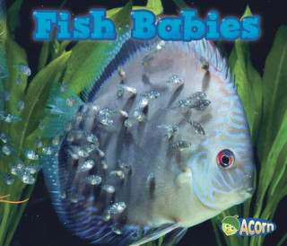 Kniha Fish Babies Catherine Veitch