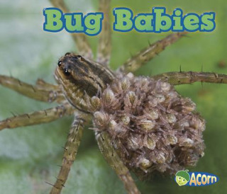 Kniha Bug Babies Catherine Veitch