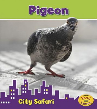 Книга Pigeon Isabel Thomas