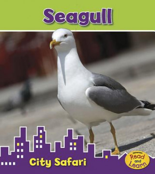 Könyv Seagull Isabel Thomas