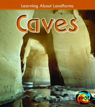 Kniha Caves Ellen Labrecque