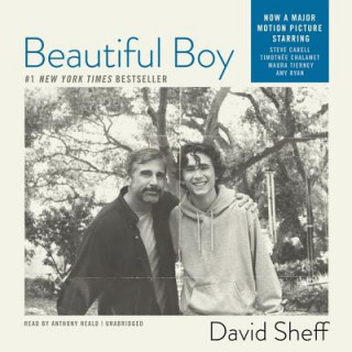 Audio Beautiful Boy: A Father's Journey Through His Son's Meth Addiction David Sheff