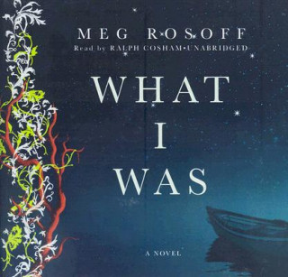 Hanganyagok What I Was Meg Rosoff