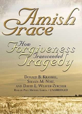 Hanganyagok Amish Grace: How Forgiveness Transcended Tragedy Donald B. Kraybill