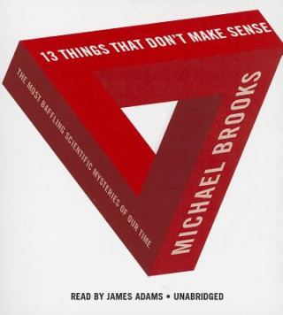 Audio 13 Things That Don't Make Sense: The Most Baffling Scientific Mysteries of Our Time Michael Brooks