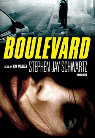 Digital Boulevard Stephen Schwartz