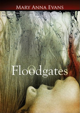 Digital Floodgates Mary Anna Evans