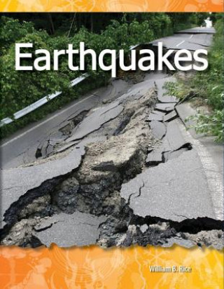 Könyv Earthquakes William B. Rice